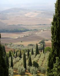The Rolling Hills of Tuscany near Pienza