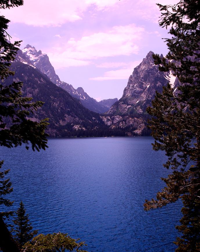 Picture Perfect Tetons