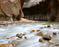 The Graceful Flow of Water in the Narrows -- Zion