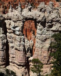 A Magical Gateway in Rock at Bryce