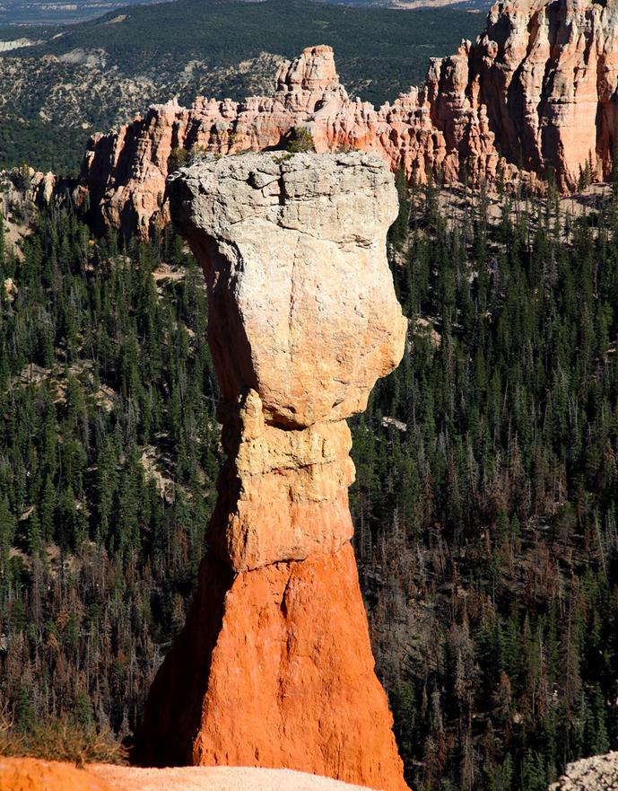A Face Etched in Stone -- Bryce Canyon