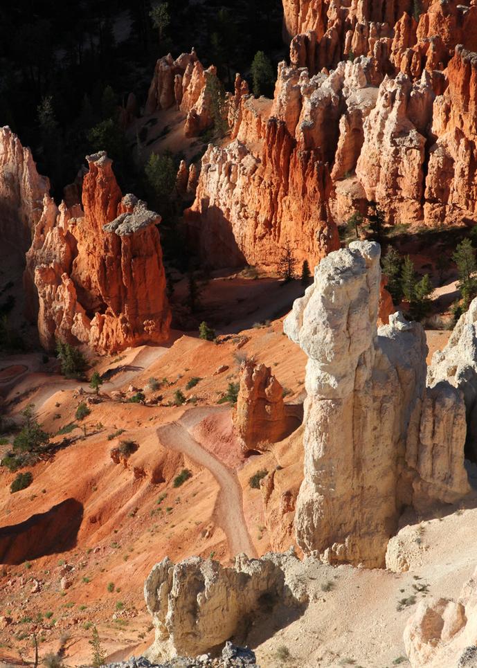The Magical Trails at Bryce Canyon