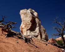 Rocks Along the Path at Bryce Canyon