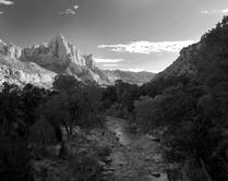 Quiet Stream at Sunset in Zion National Park