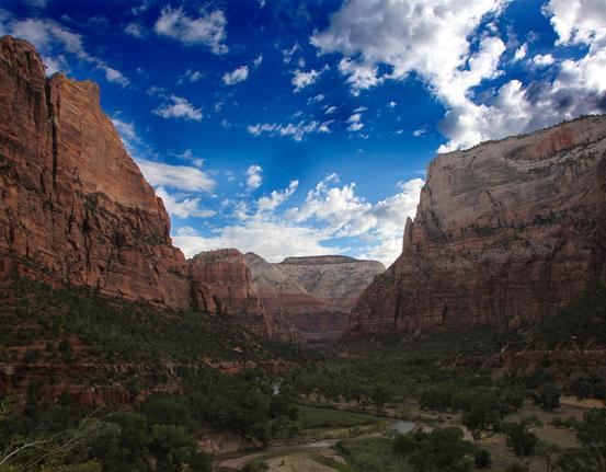 In the Valley of Zion National Park