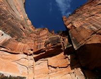 Looking Up From Emerald Pond -- Zion