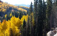 Fall in Southern Colorado
