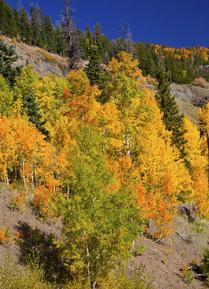 Fall Comes to Southern Colorado