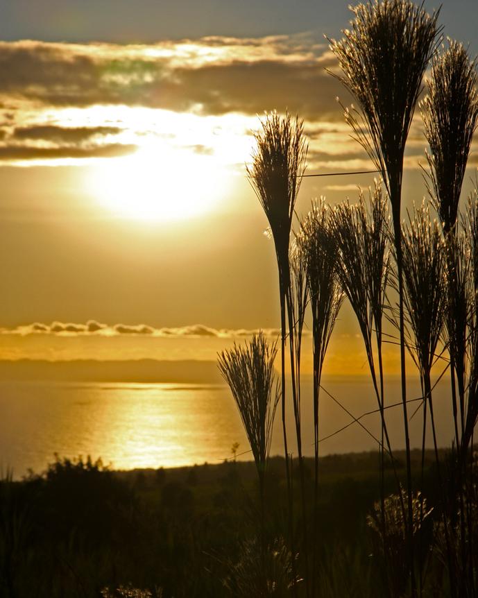 Sunset Near Waimea Canyon, Kaui